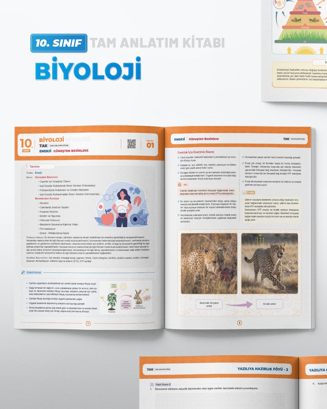 TAK-10 post serisi-2 01