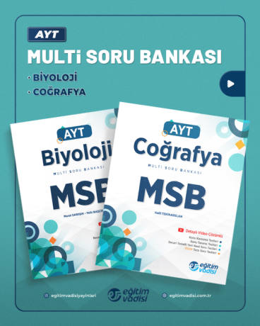 msb-ayt 01
