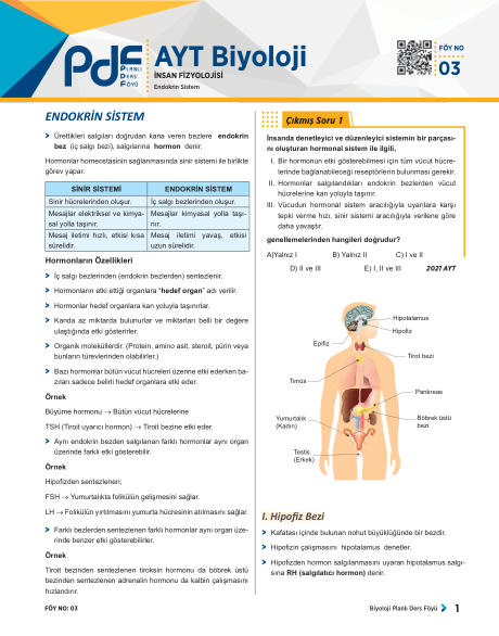 AYT Biyoloji PDF öğrenci