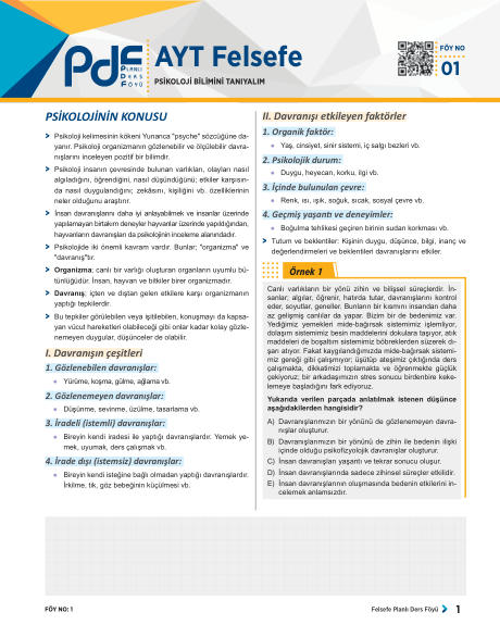 AYT PDF FELSEFE